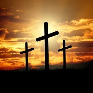 Meet your Posher, Norma